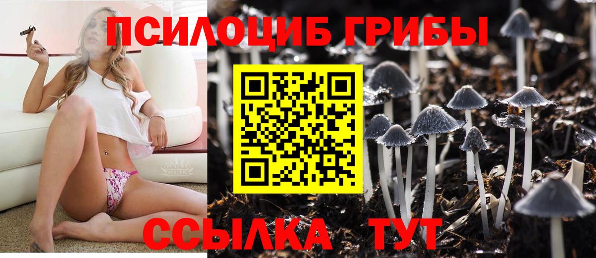 Галлюциногенные грибы Cubensis  Вход с VPN  Ипатово  Псилоцибиновые грибы MAGIC MUSHROOMS 