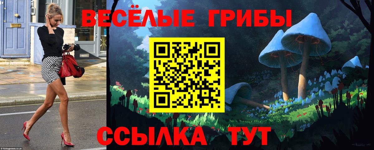 Псилоцибиновые грибы GOLDEN TEACHER Ипатово